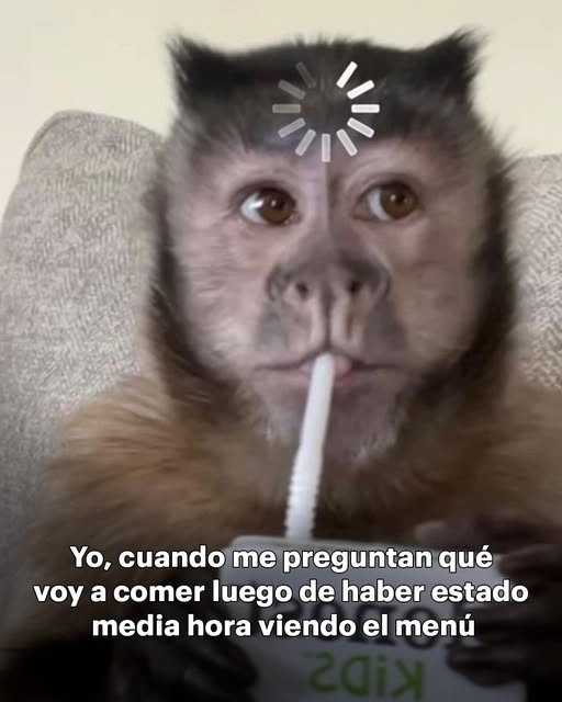 Yo voy a Subway® a relajarme, no sé ustedes.