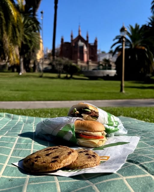 Nada más lindo que hacer picnic en Plaza Francia